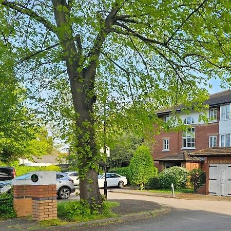 דירות לונדון Lovely Flat Close To Shepherd'S Bush מראה חיצוני תמונה